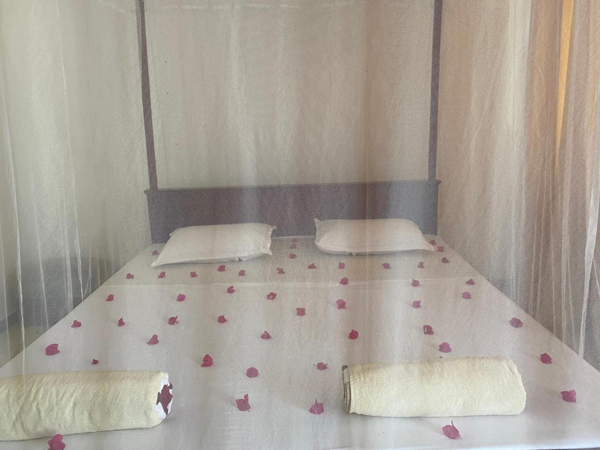 Talalla Ocean Beach Bungalow Matara Dış mekan fotoğraf